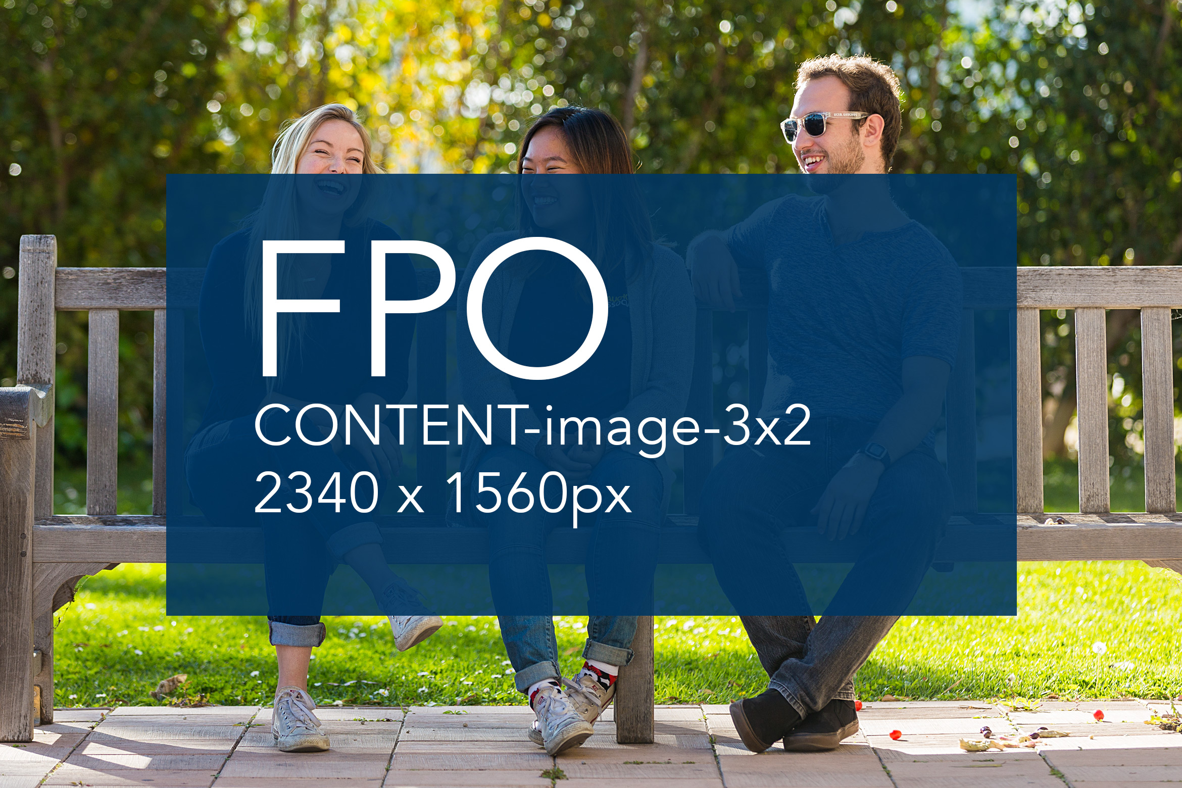 meaningful alt text here