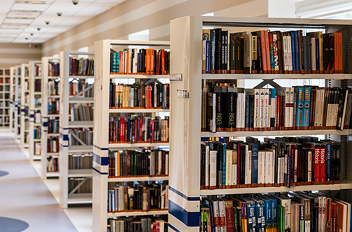Image of book shelves in Library