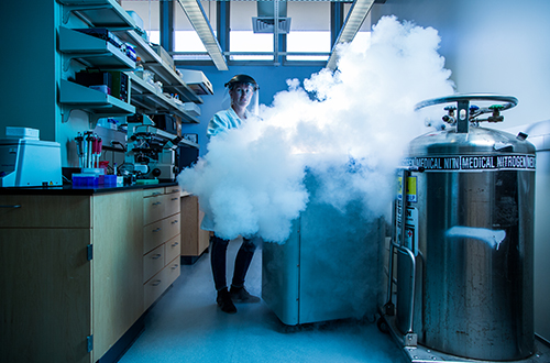Image of science lab with student behind a cloud of vapor