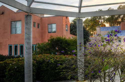 Image of UCSB Buildings with purple flowers in the foreground
