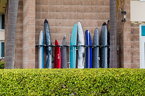 Image of a rack of surf boards, with a green bush in the foreground